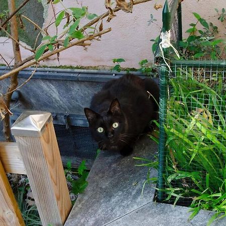 Un Insospettabile Angolo Verde In Citta Appartement Milaan Buitenkant foto